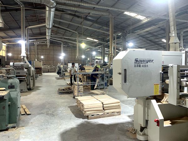 Xưởng gia công gỗ tự nhiên với máy cưa vòng, máy bào và hệ thống hút bụi tại nhà máy Tân Phước, Việt Nam